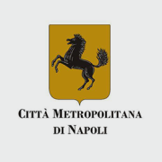 Città metropolitana di Napoli